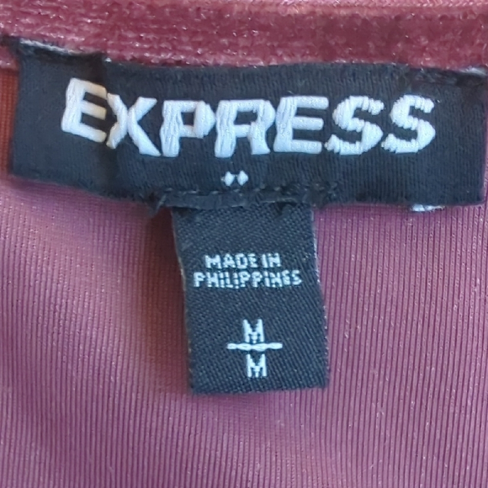 Express Burgundy Velvet Bodysuit - Picture 2 of 4